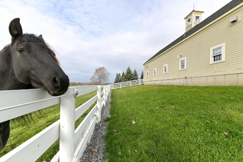 Unique Finger Lakes Converted Horse Barn with Patio!